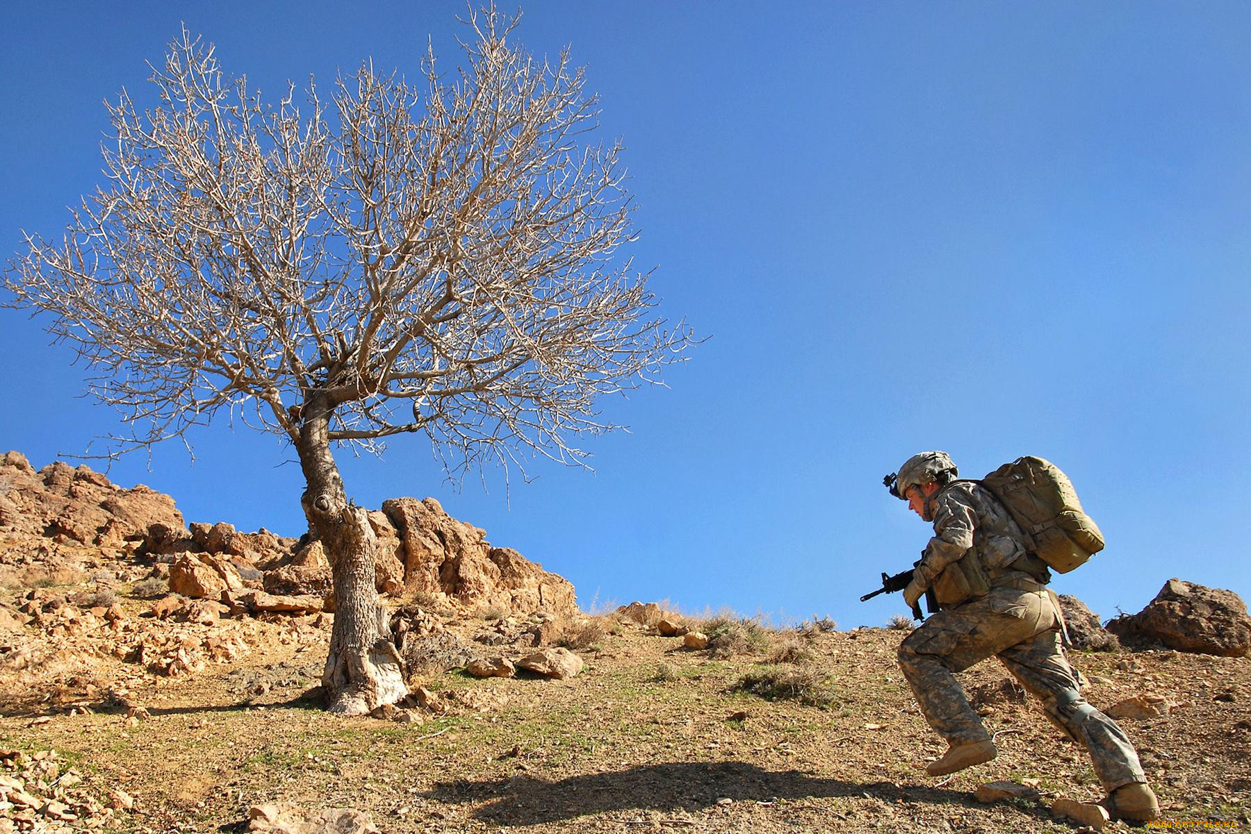 , , , army, soldiers